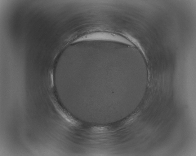 X0000070210061200605261302