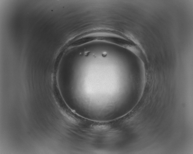 X0000070210063200605261303