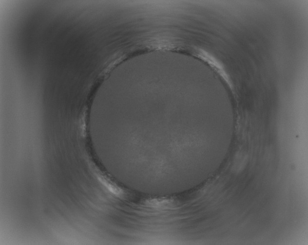 X0000070210065200605261303