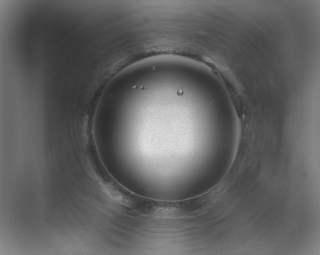 X0000070210066200605261303