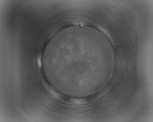 X0000070210069200605261303