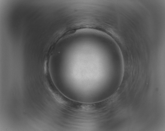 X0000070210070200605261303