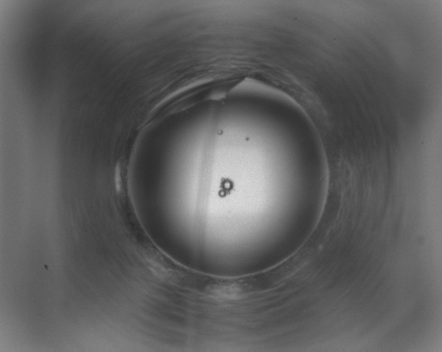 X0000070210075200605261303