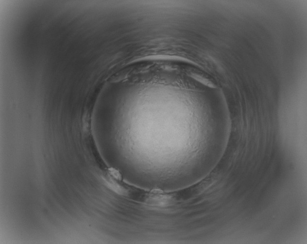 X0000070210081200605261303