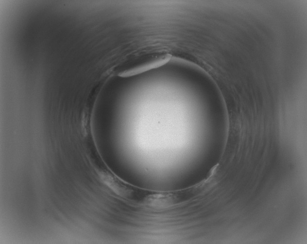 X0000070210082200605261303