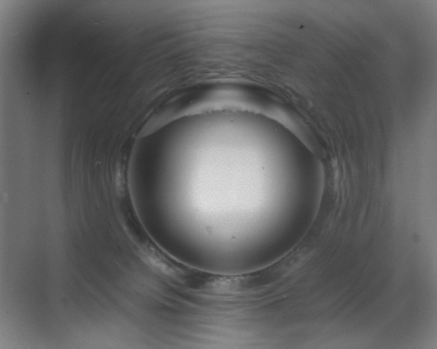 X0000070210084200605261303