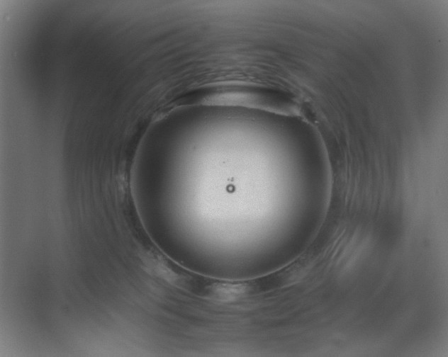 X0000070210085200605261303