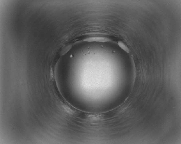 X0000070210089200605261303