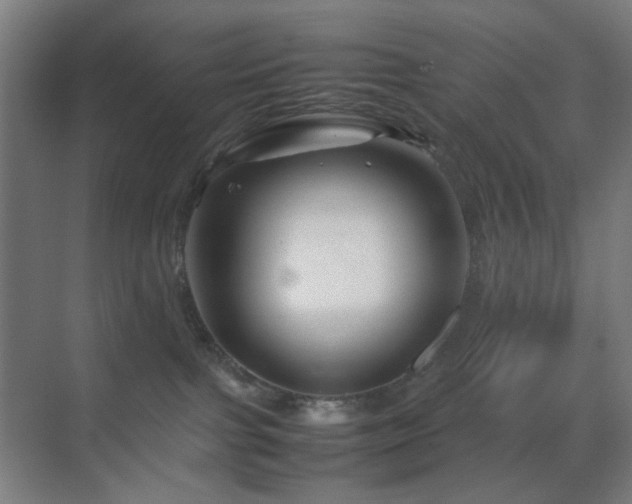 X0000070210091200605261303