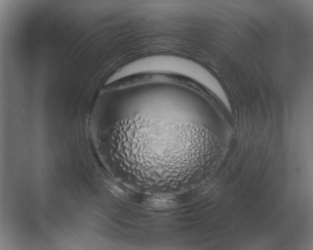 X0000070210093200605261303