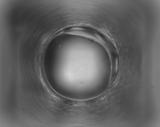 X0000070210097200605261302