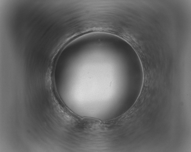 X0000070210098200605261302