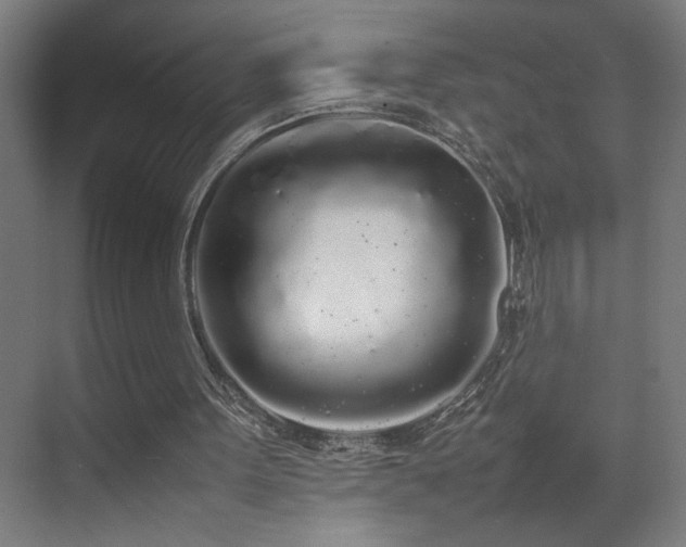 X0000070210099200605261302