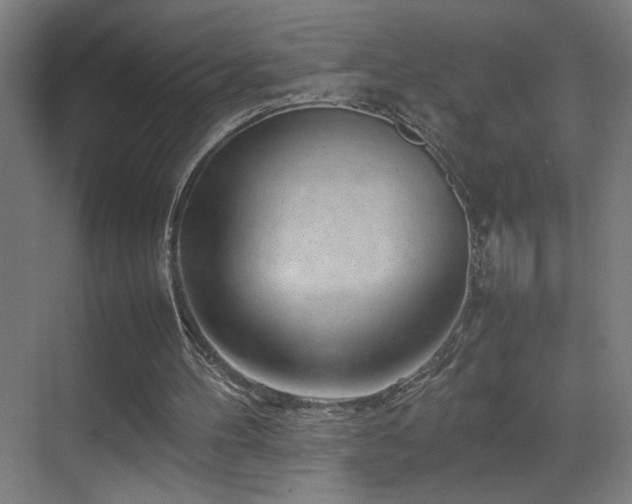 X0000070210100200605261302