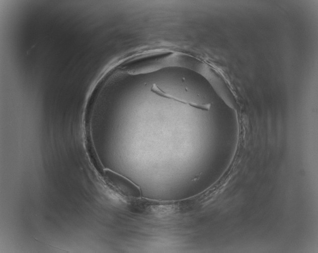 X0000070210102200605261302