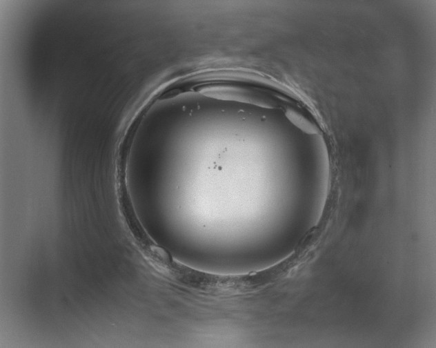 X0000070210103200605261302