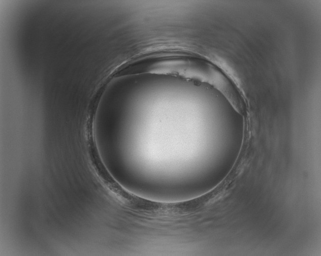 X0000070210105200605261302