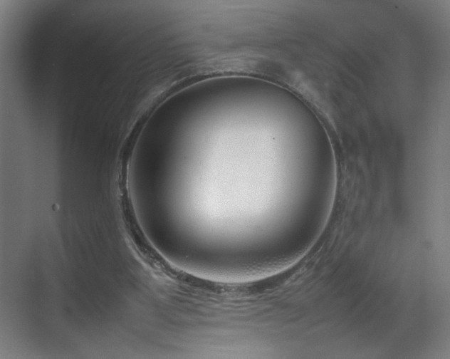 X0000070210107200605261302