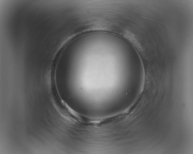 X0000070210108200605261302