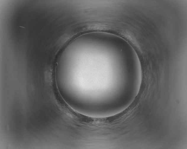 X0000070210111200605261302