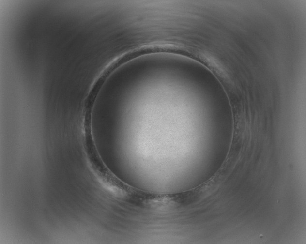 X0000070210112200605261302