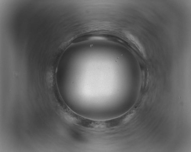 X0000070210113200605261302