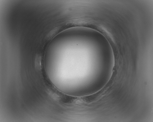 X0000070210115200605261302