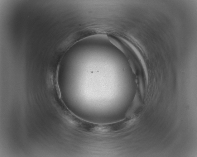 X0000070210117200605261302