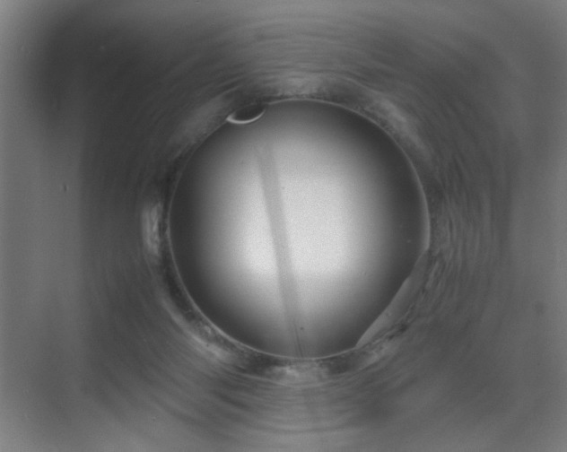 X0000070210118200605261302