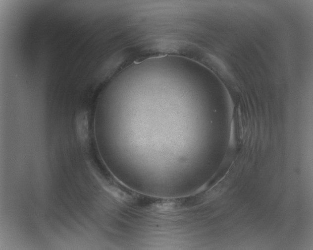 X0000070210120200605261302