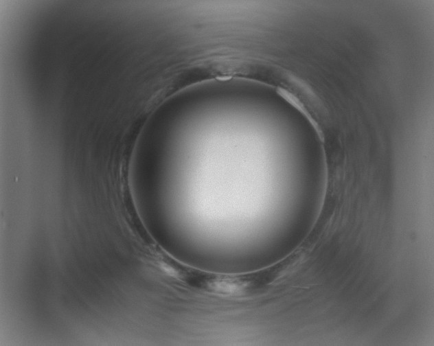 X0000070210121200605261302