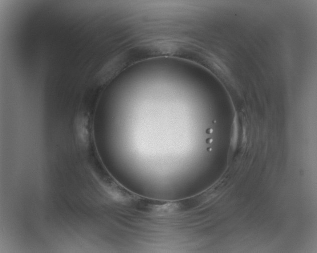 X0000070210122200605261302