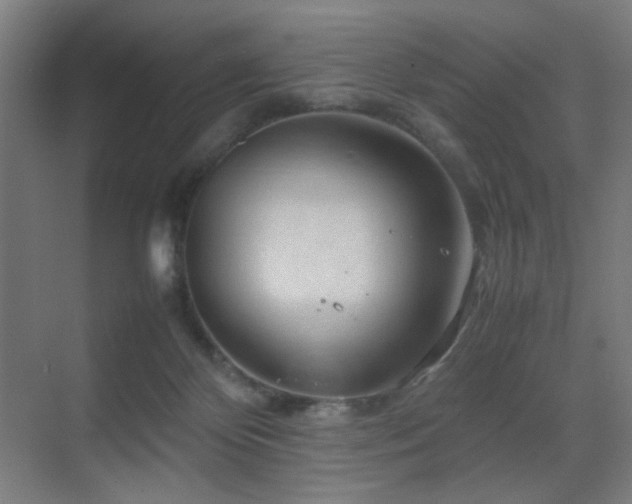 X0000070210124200605261302