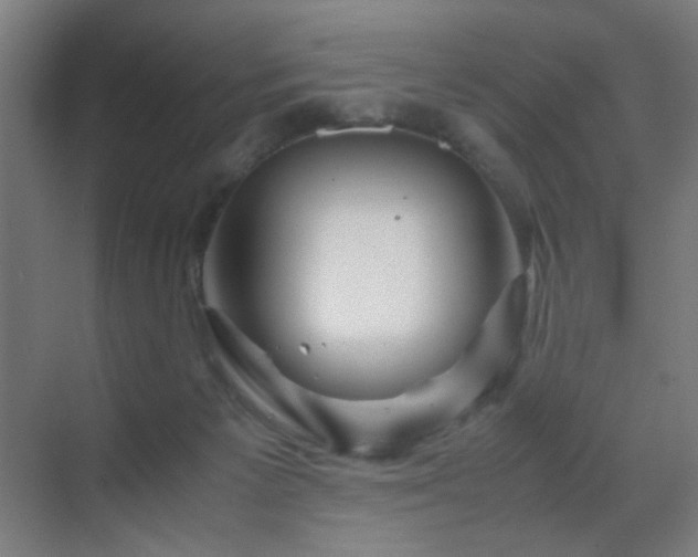 X0000070210125200605261302