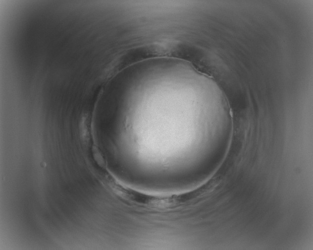 X0000070210131200605261302