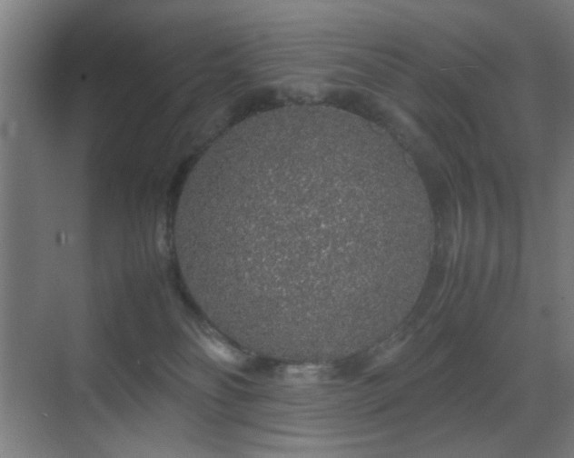 X0000070210134200605261302