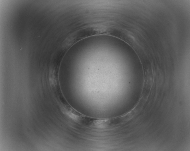 X0000070210136200605261302