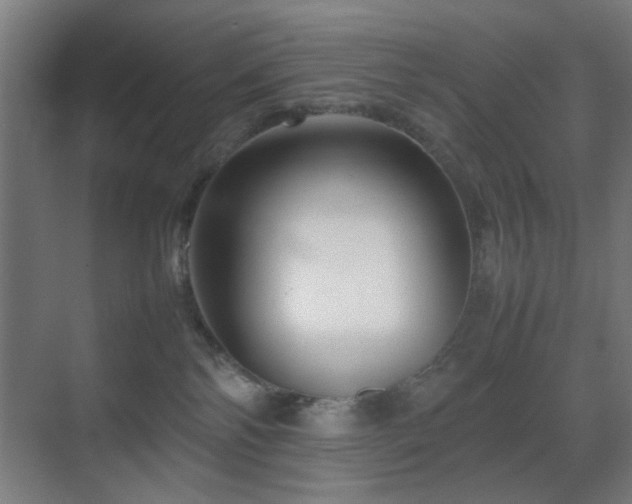 X0000070210138200605261302