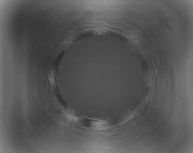 X0000070210139200605261302