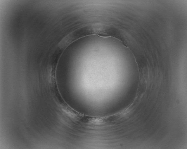 X0000070210140200605261302