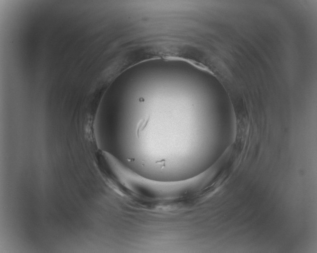 X0000070210141200605261302