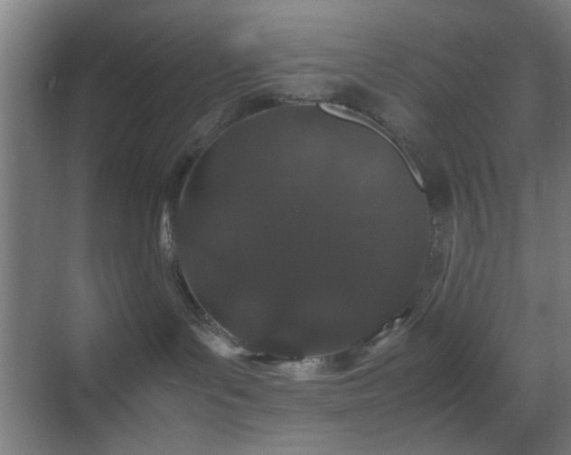 X0000070210143200605261301