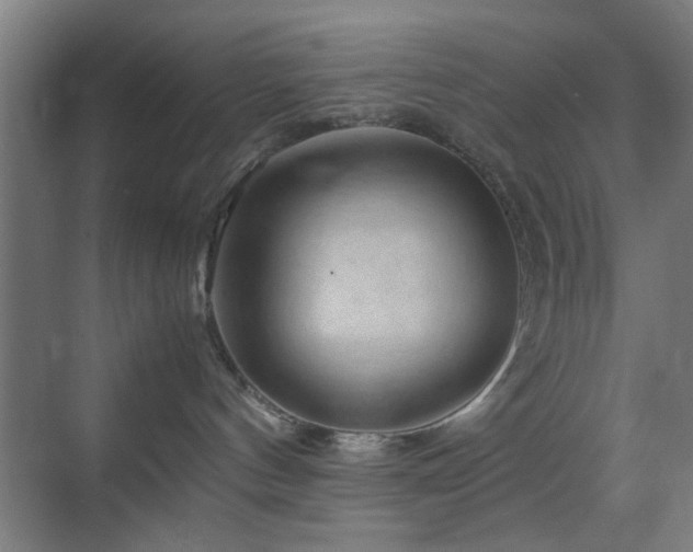 X0000070210144200605261301