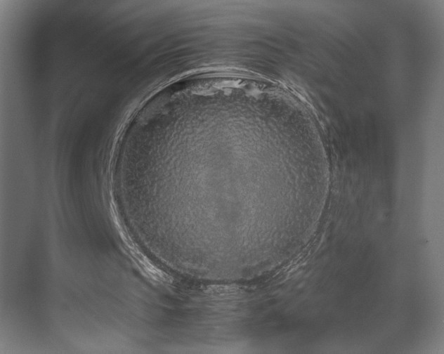 X0000070210145200605261301