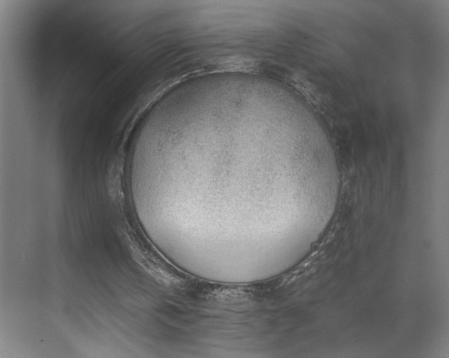 X0000070210146200605261301