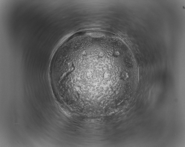 X0000070210147200605261301