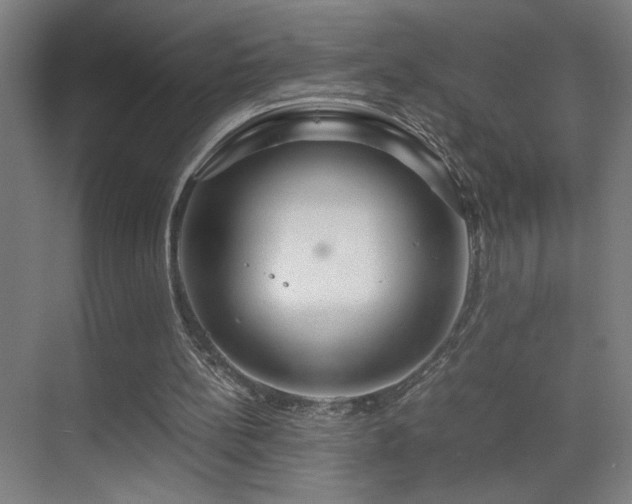 X0000070210148200605261301