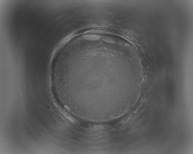 X0000070210149200605261301