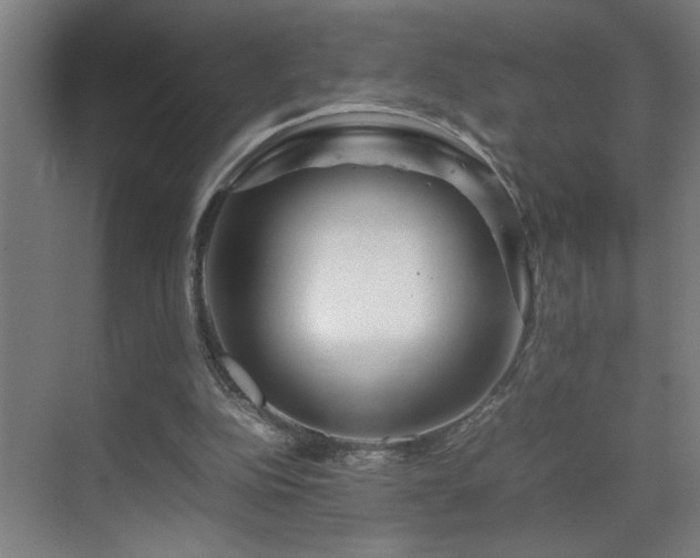 X0000070210152200605261301