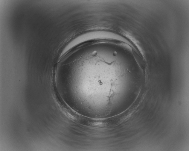 X0000070210153200605261301